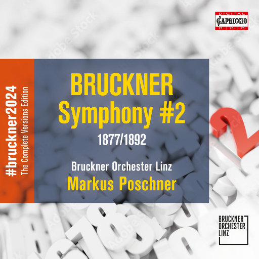 国产熟妇🈚️码AV水也
